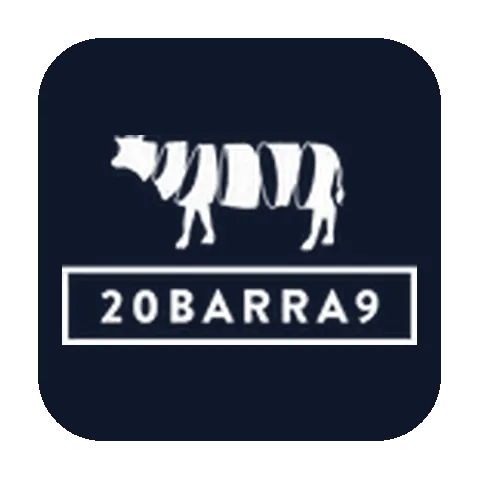Logo da empresa 20barra9, cliente atendido pela LN